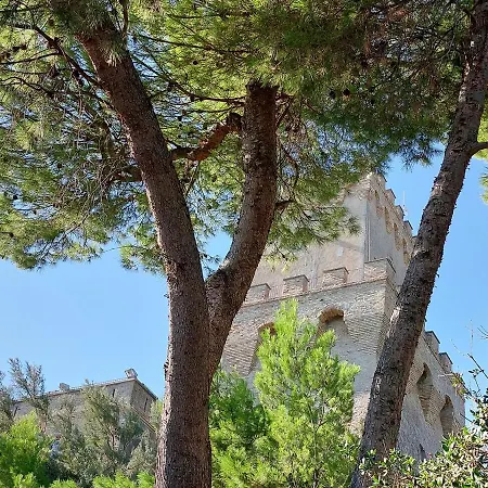 Spazioso Parco Marino Del Cerrano 8 P *