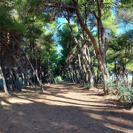 Spazioso Parco Marino Del Cerrano 8 P * Silvi Paese