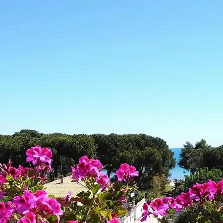 Spazioso Parco Marino Del Cerrano 8 P 펜션 Silvi Paese